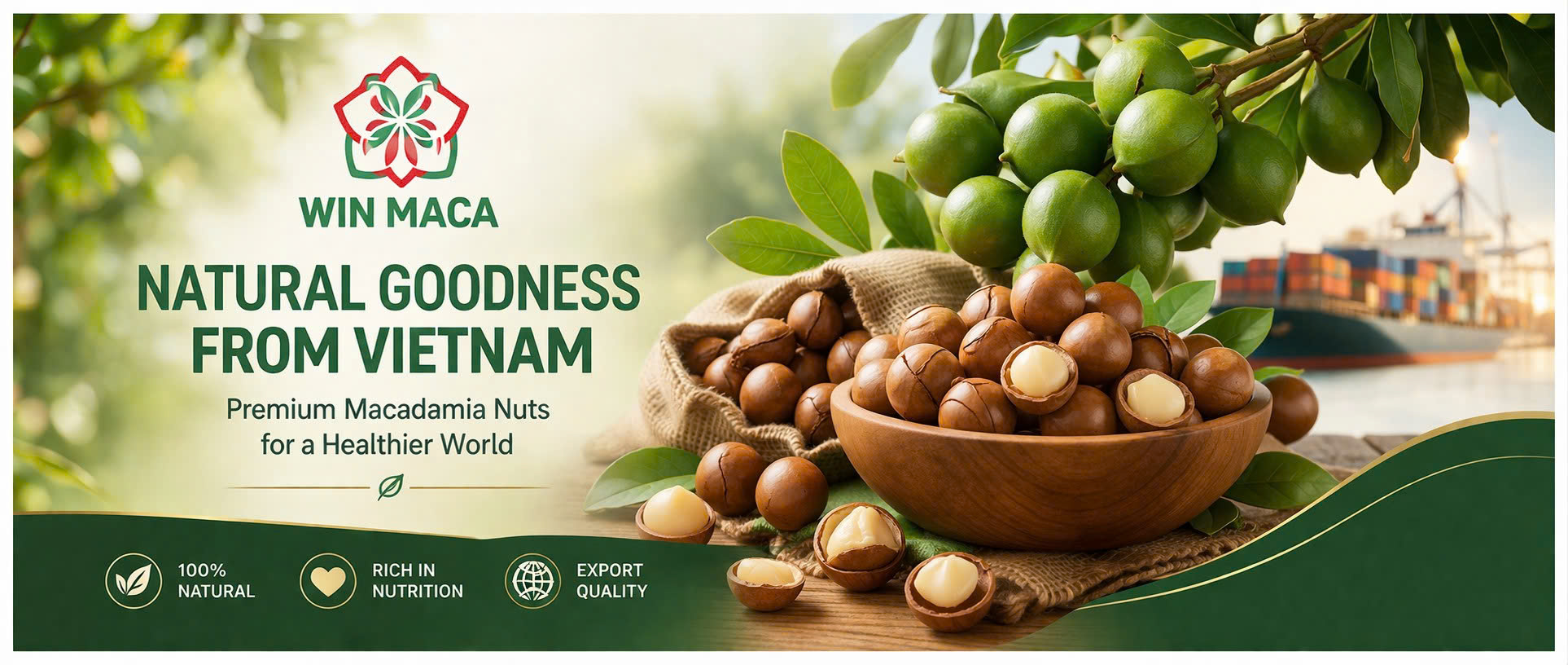 Banner Mắc ca xuất khẩu Win Maca