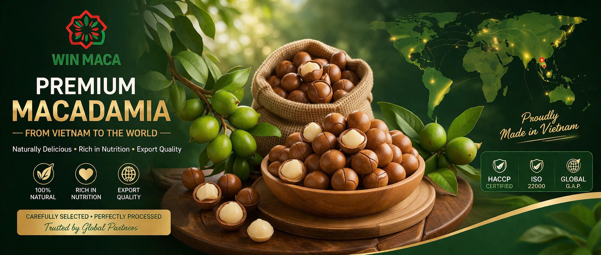 Banner Mắc ca xuất khẩu Win Maca